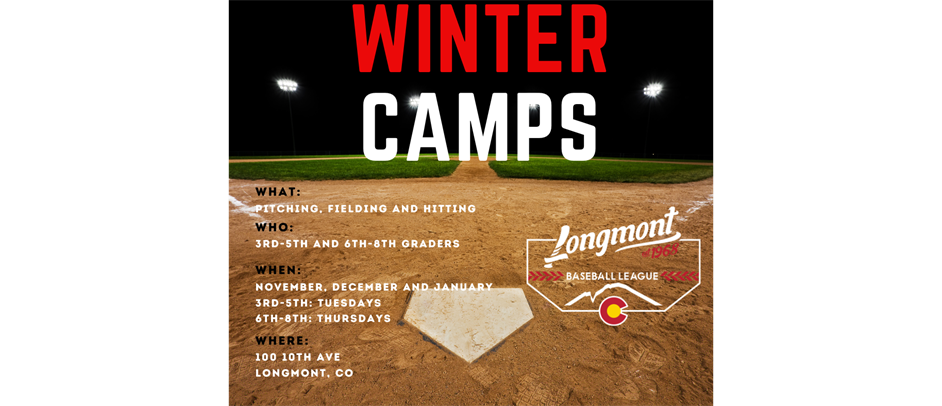 Winter Baseball Camps